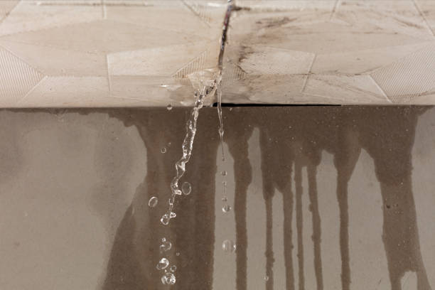 Professional Structural Drying technician working in Newcomerstown, OH